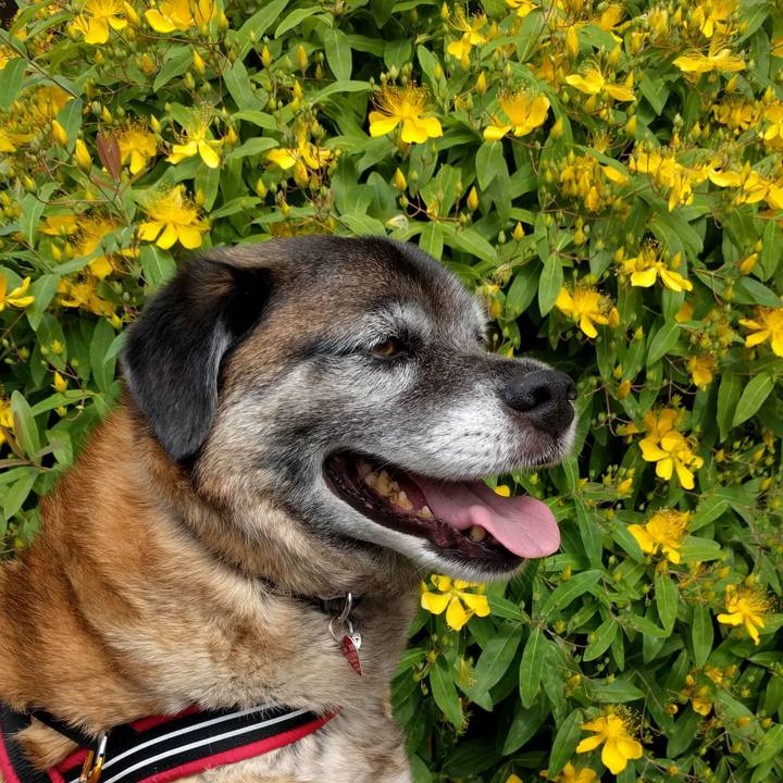 D3769345 3540 4c21 af64 b2dc68f15101