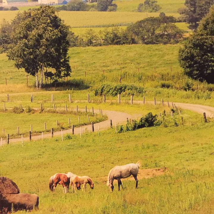 D376de48 1b59 4abf b8f4 8bb5cd790df9