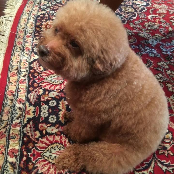 D376e606 7e60 4497 8b82 e614f7c98fcb