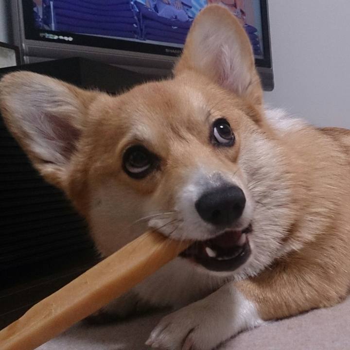 D37716d8 a23d 45da 9aa8 c756280a4e72