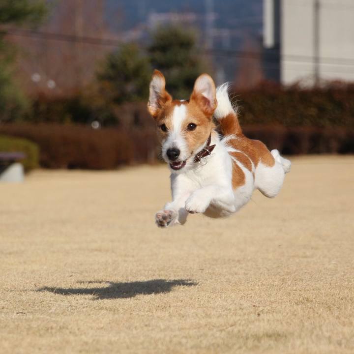 D377a0c9 e507 4082 a360 c7c8c1fdb0fb