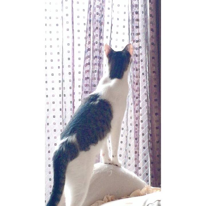 D377ef6c a737 45a4 939d c887b56e17bf