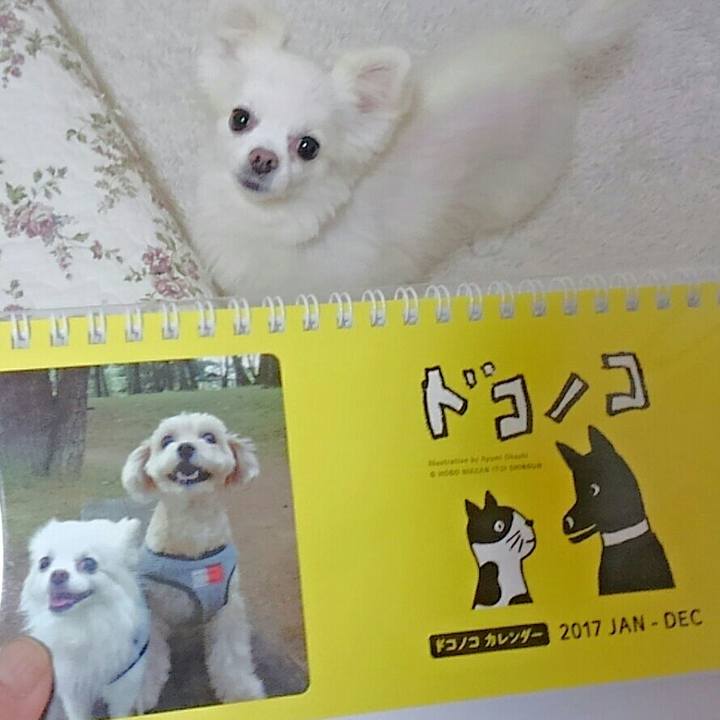 D3780c0c 7542 4f96 81ce ee4c91eae0ed