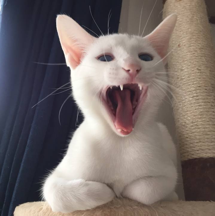 D3784b63 f9dc 46dd 8163 91212127d58c