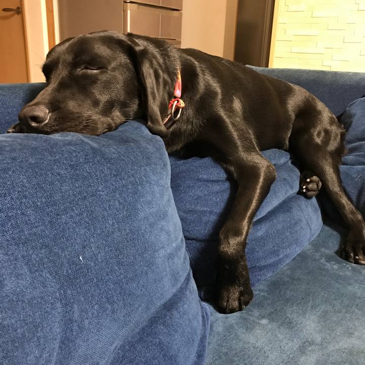 D3786cd0 4201 49e9 95c4 8cdad4f1c2c8