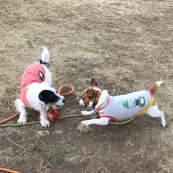 D378d02f 1bb2 4c64 be53 2335181745c1