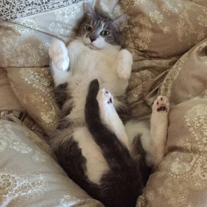 D378ddc1 8588 44e1 9e09 14836a99acba