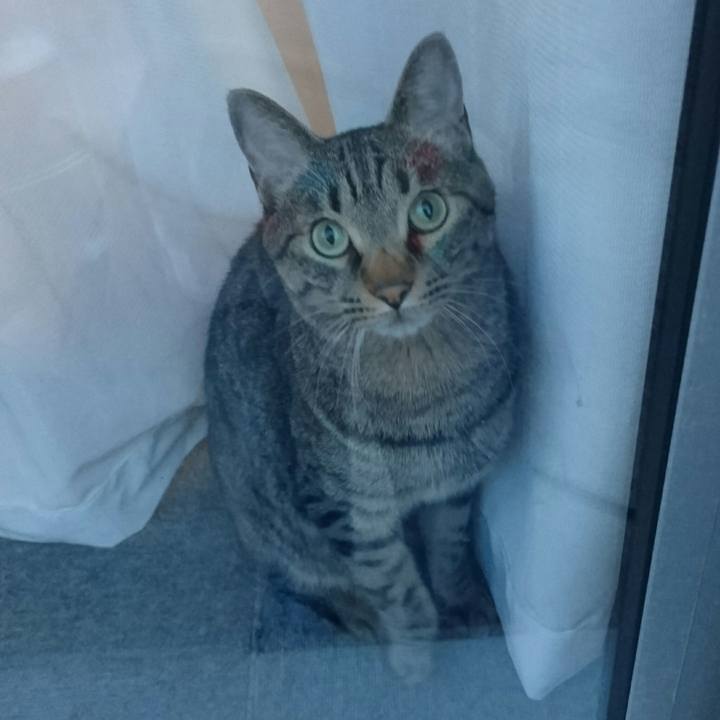 D378fe09 4e28 46ca 82a7 4b73754b79c7