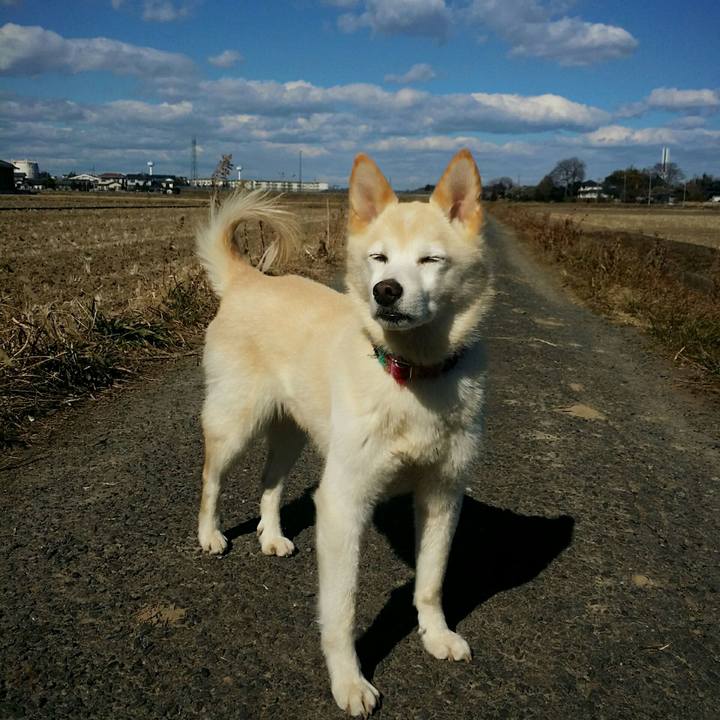 D3791696 ba2c 40ee 9c3e 017b8c9f4853