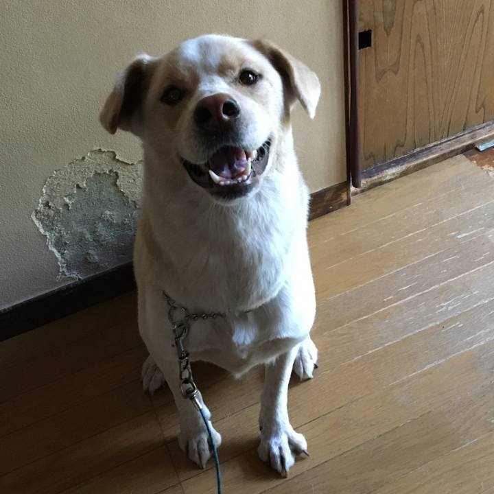 D3798ea7 40e2 4c20 a8d5 85ca39879ad5