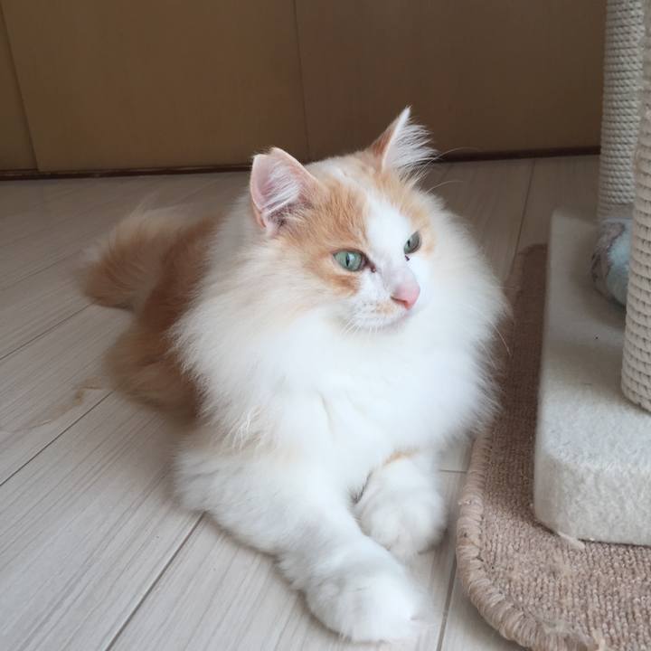 D379f2b9 4134 40bf 9815 0104e843a053