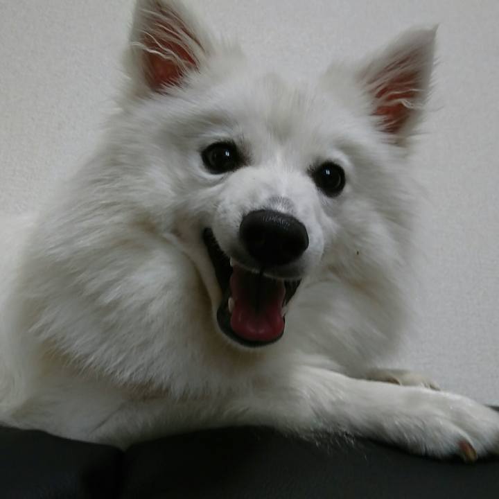 D37a9960 84a5 4cc2 b236 d25c0732568e