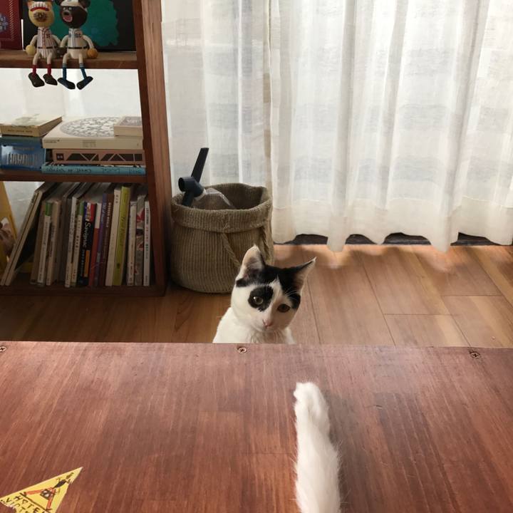 D37b0a83 ab27 47fa 8fdf b4c751409f81