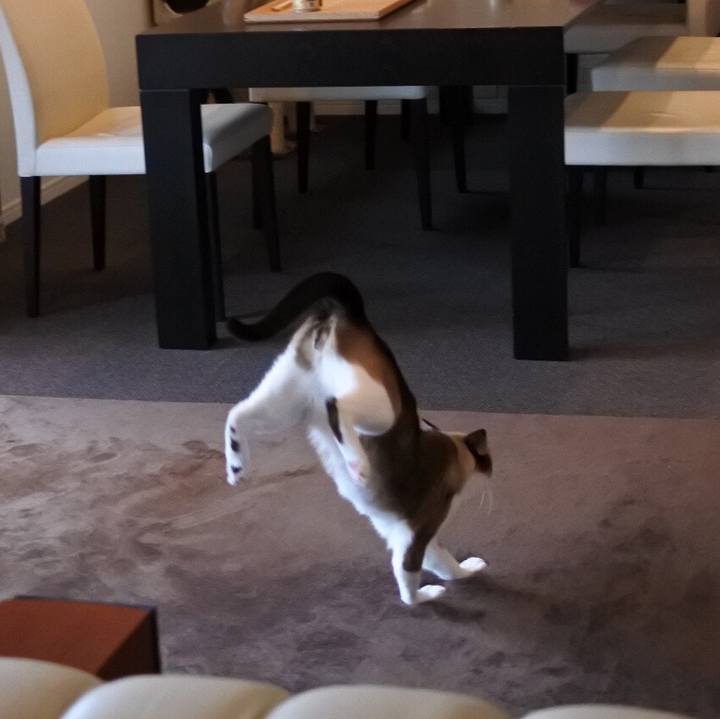 D37b254a 4db3 4a42 ab41 6bcbf45bf30c