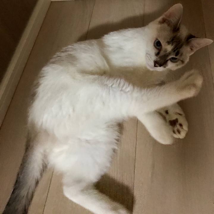 D37bd75d da4d 4c6c 9ec0 b3967d5b66a6