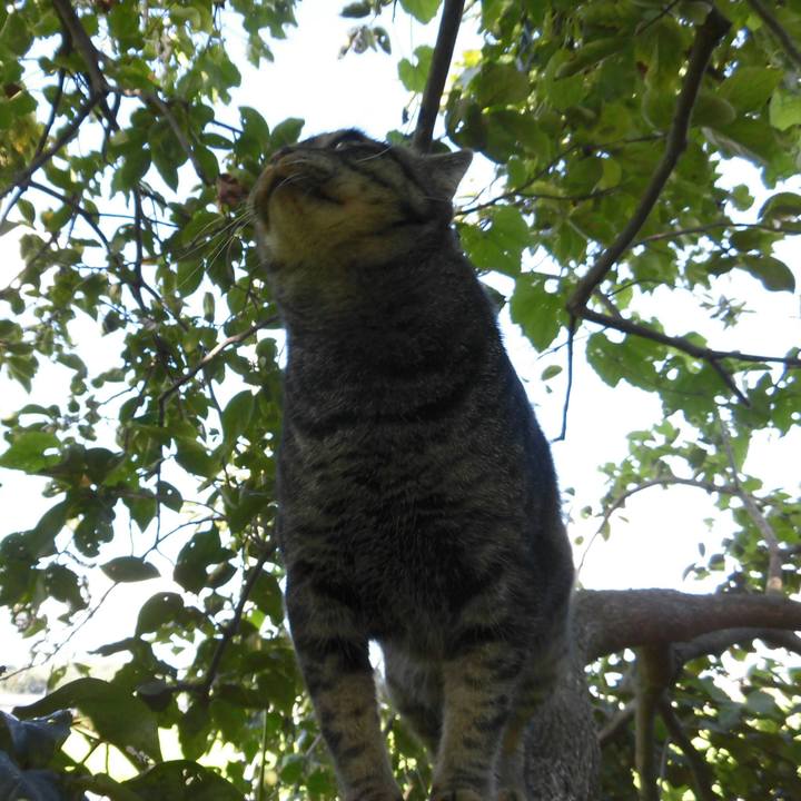 D37cecca f347 4d91 aa3e 11f1f51eab96