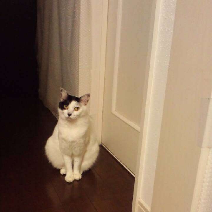 D37d1f0c bc23 4004 9c0b fcf8634fb4ed