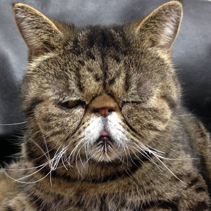 D37e931d b9f3 4c02 806b 0ca84a073088