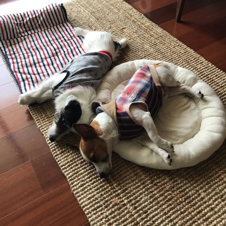 D37ece29 f557 4abd 91b5 58698deca8a7