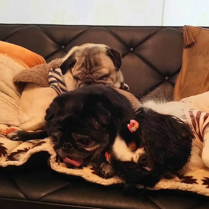 D37ed0a9 25b7 4793 829c b418a2ac7040