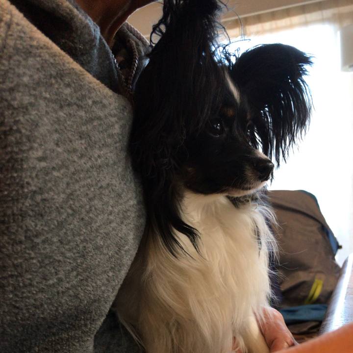 D37f0fa7 125f 4244 8255 cd2af900f9cf