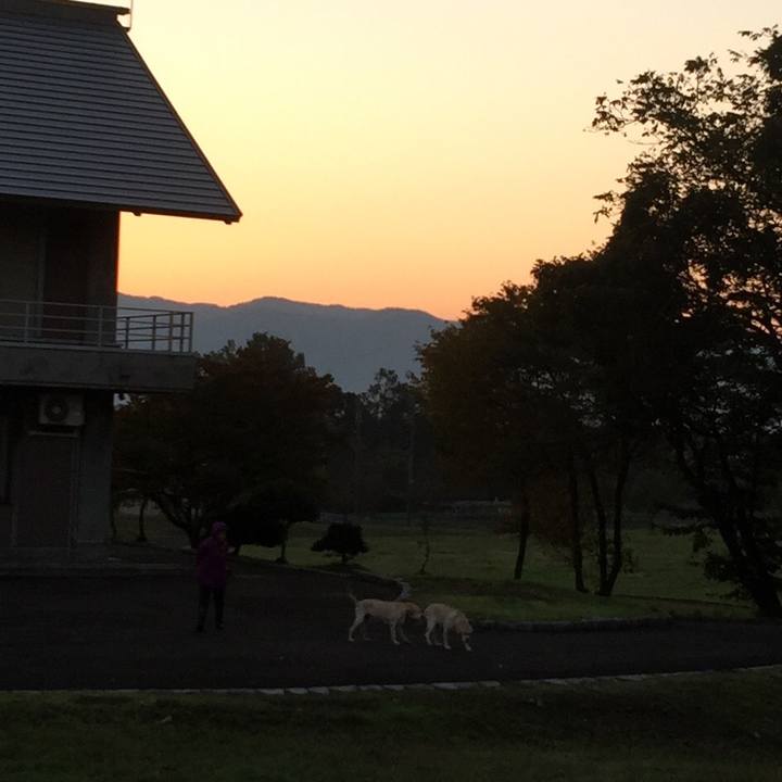 D37f57aa 8b8a 4773 962a bb1b207e3b23