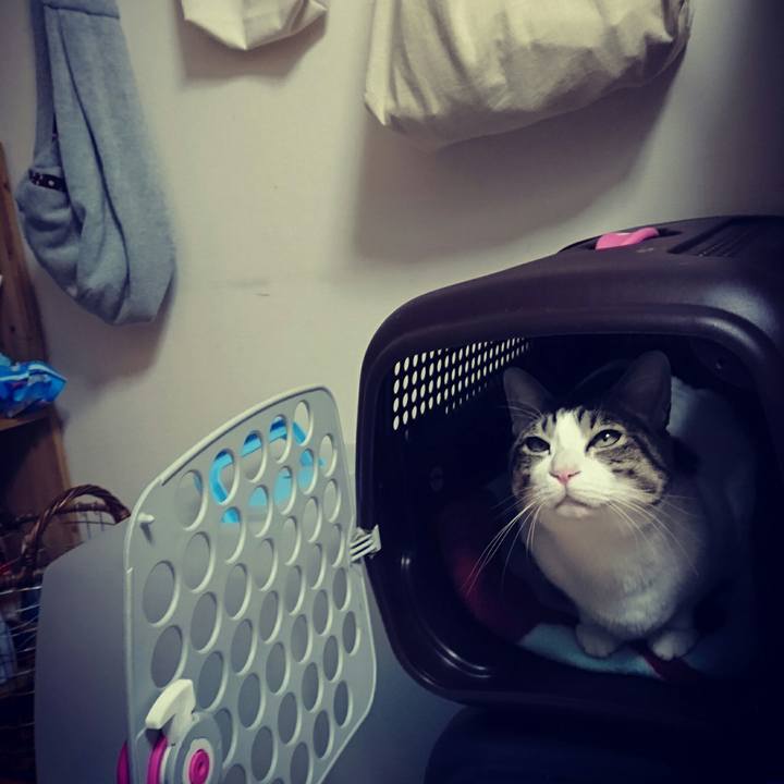 D37f60d7 2d66 4987 b58a 0d1dcea29dc4