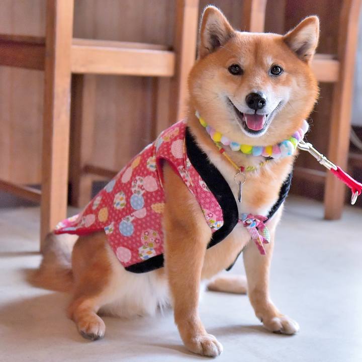 D38114b5 039d 40ce adfe 10e35196c3c9