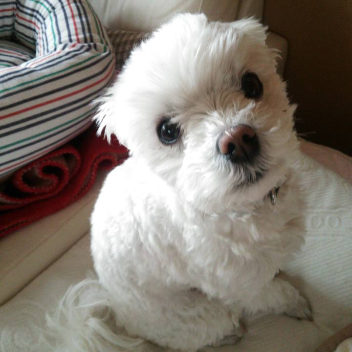 D381db0e 5951 4a37 84e5 7a19bbbe8ee8