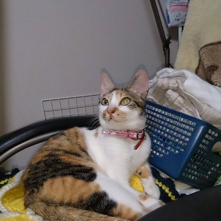 D382049c afec 47c6 ab17 94cb0093202e