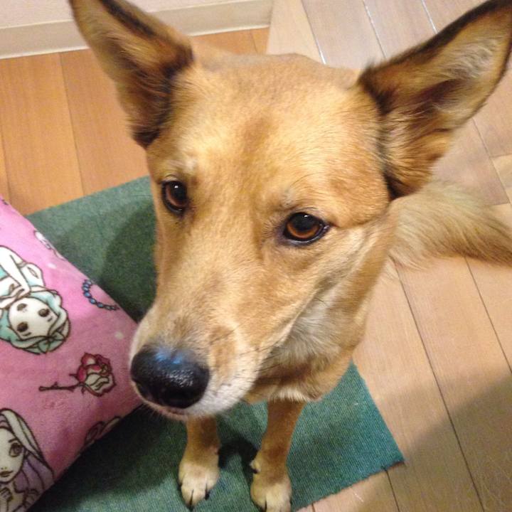 D3825192 9c4d 41d1 87e7 fbd7ef594c41