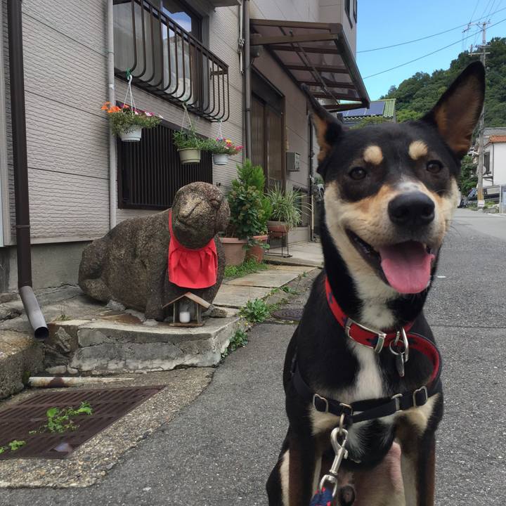 D3827f1f 464a 4102 815c 0e08242457c7