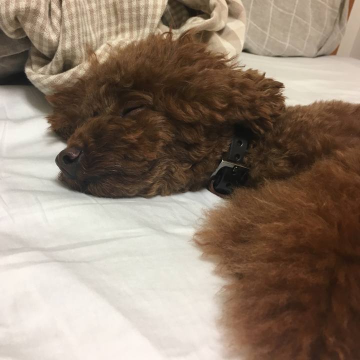 D38284b5 01d0 479d 9c1b 88b605c28811