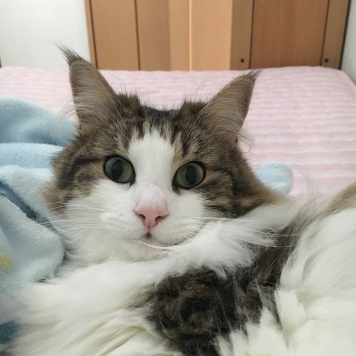 D3828f79 fffa 4740 8123 12bf6a079b8f