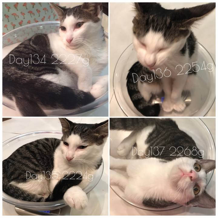 D382e5c0 ea72 48da 91b4 3c87b483c9d9