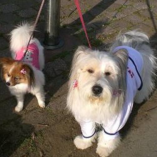 D383e480 4e70 4816 9dcf 39c68f55102d