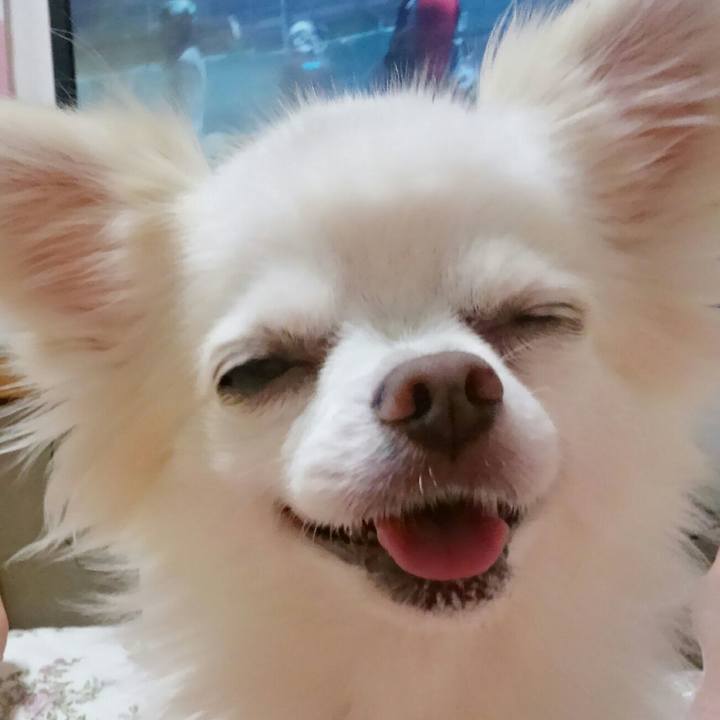 D3844d07 0425 4d37 bcb2 89f9df6c23e5