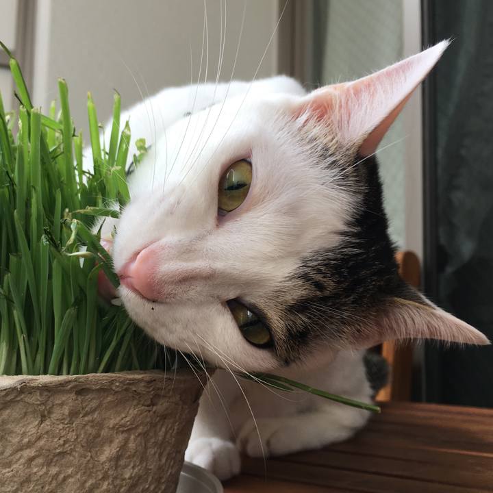 D384c26a e2bd 4490 af7f 8d4e5d86f2c6