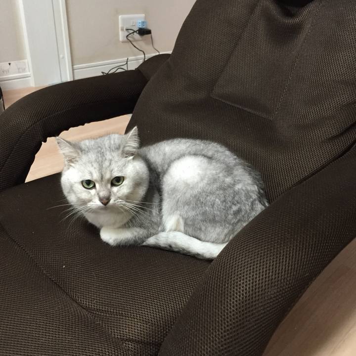 D384f6be e2ca 4032 a416 6ec0040f2a27