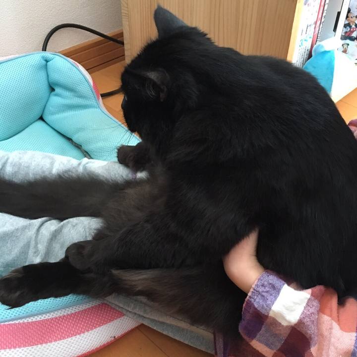 D3857c9e 912e 4637 957c 37b32f8645d3