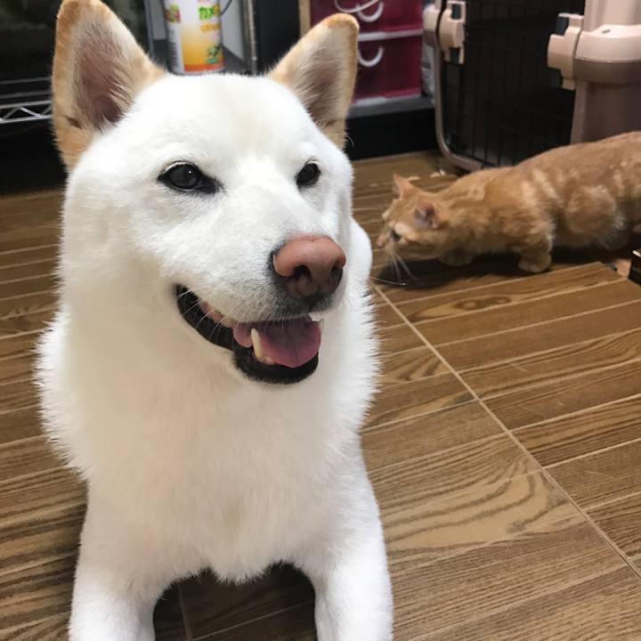 D3862d2e c41e 41d3 8171 57b2d765cfc4