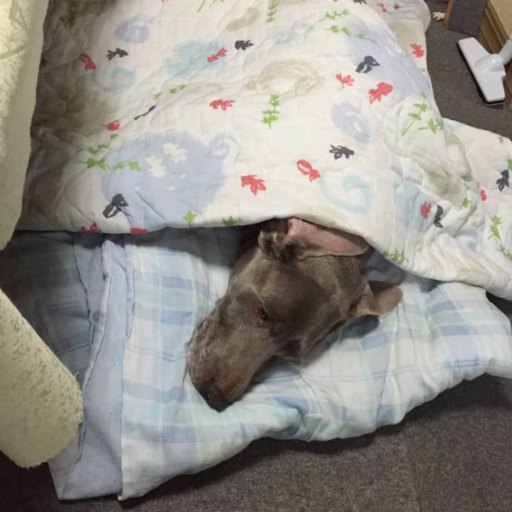 D386a2ce c20d 4d01 a125 6d29e3bdb0ba