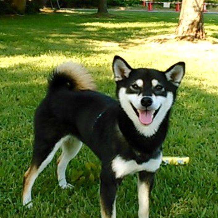 D38793ff fa37 48d8 b36b e6bd7c67e6ce