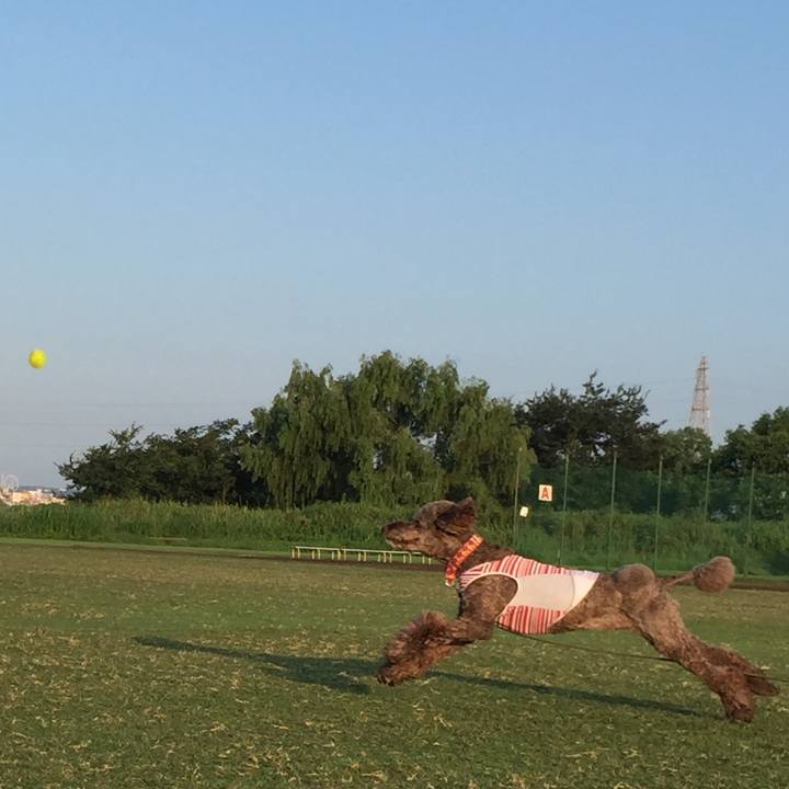 D38970ed 35e7 44d4 adbf 074829542278