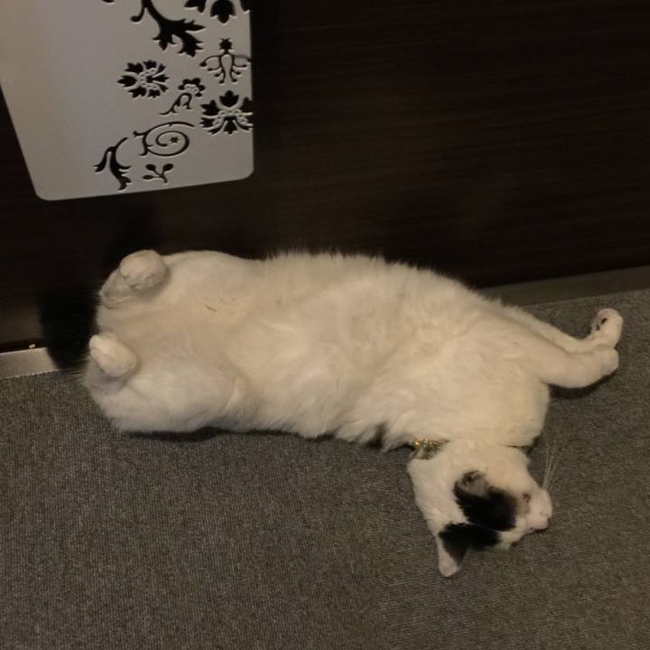 D38a5207 4a2e 44fc a904 502d11f3b05a