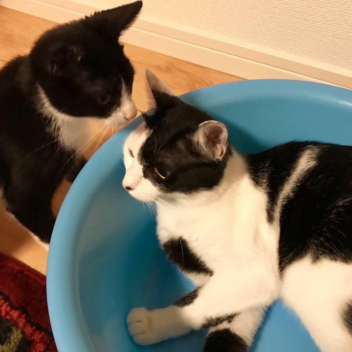 D38a7867 27f8 4d42 901e 314a74892183