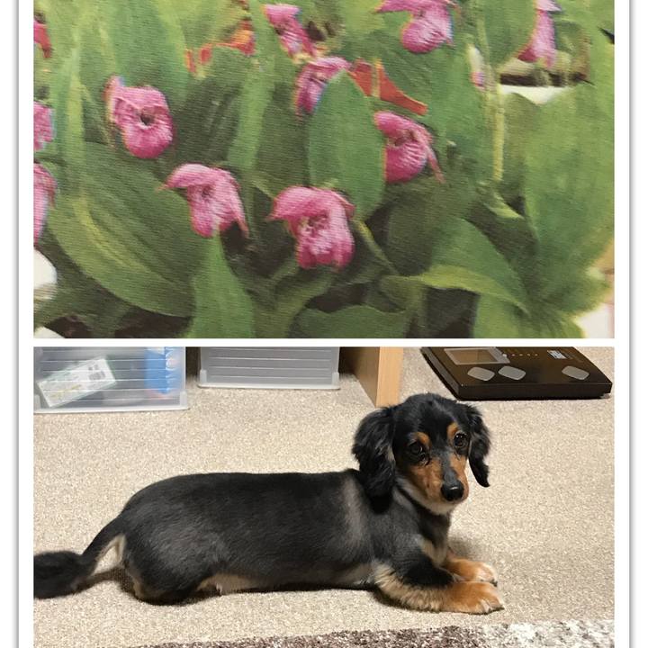 D38ab5bb c2b8 4220 98da 340dc20dc0fe