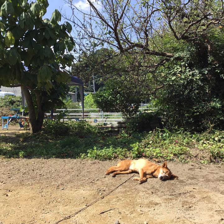 D38ae4e8 4ac2 4133 9537 905ece0ad52a