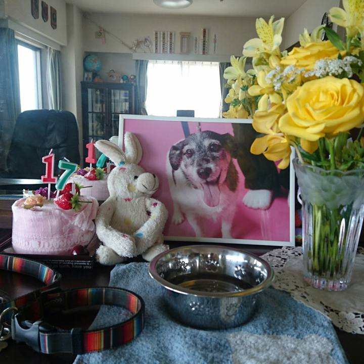 D38ba886 e18c 44b5 b0fa 44c8a1712c6d