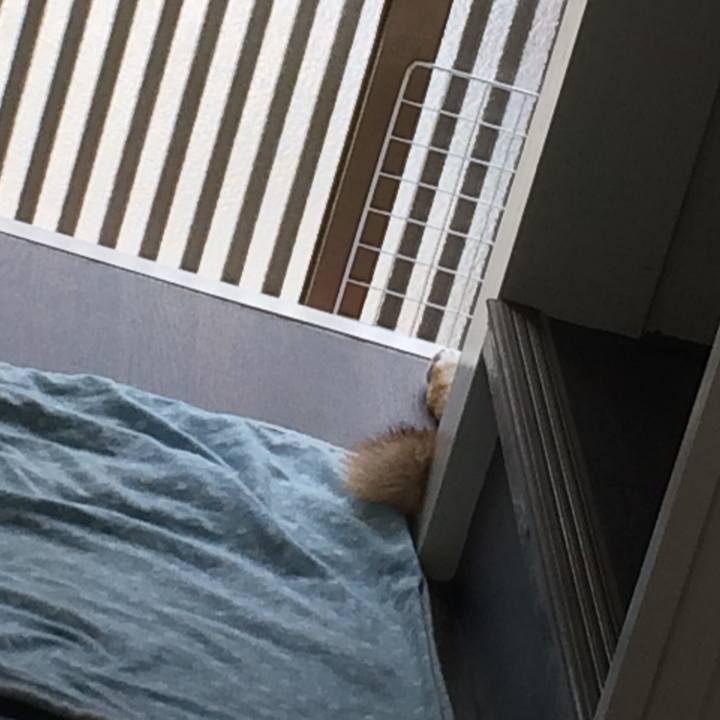 D38c4d7f b8cf 4538 bc58 a6e3c996de26